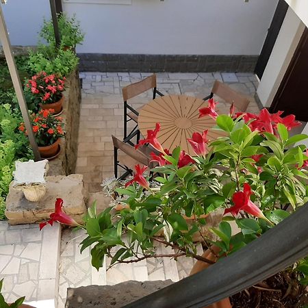 Fjesa Studio Vita מראה חיצוני תמונה