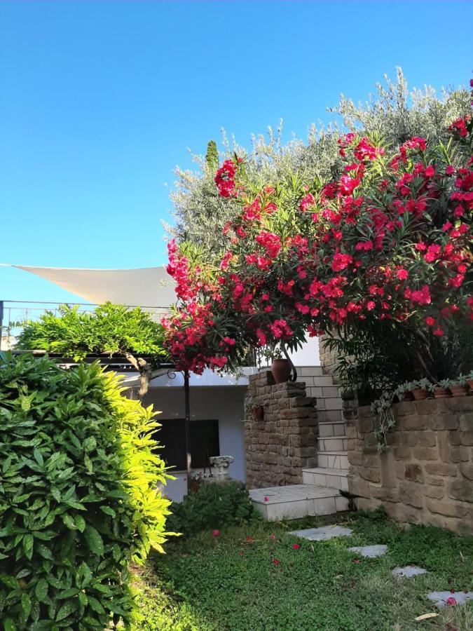 Fjesa Studio Vita מראה חיצוני תמונה